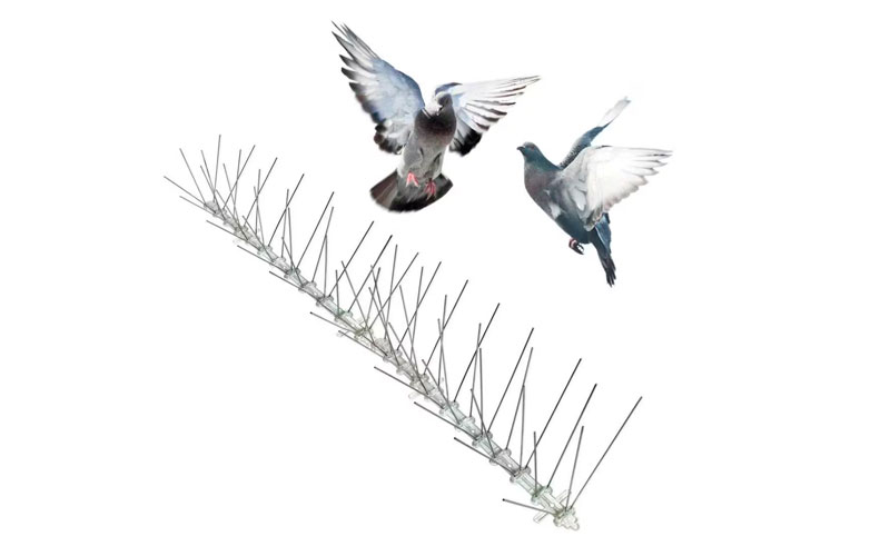 Bird Spike