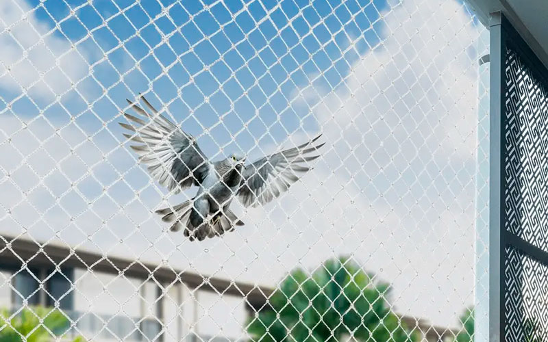 Anti Bird Net