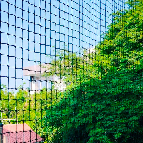 Birds Blocker